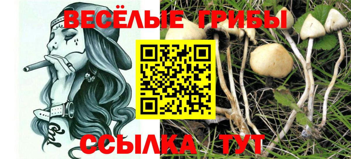 Галлюциногенные грибы Cubensis  Вход с VPN  Дубна 